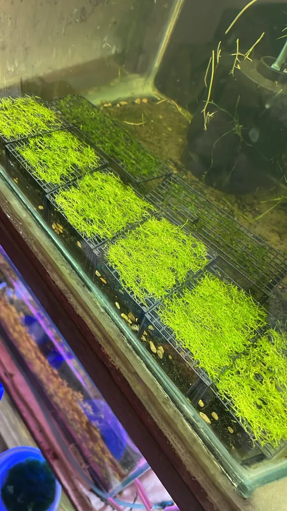 WhatsApp Image 2026-03-12 at 5.08.10 PM.webp