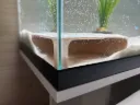 Aquarium Corner Cave 2