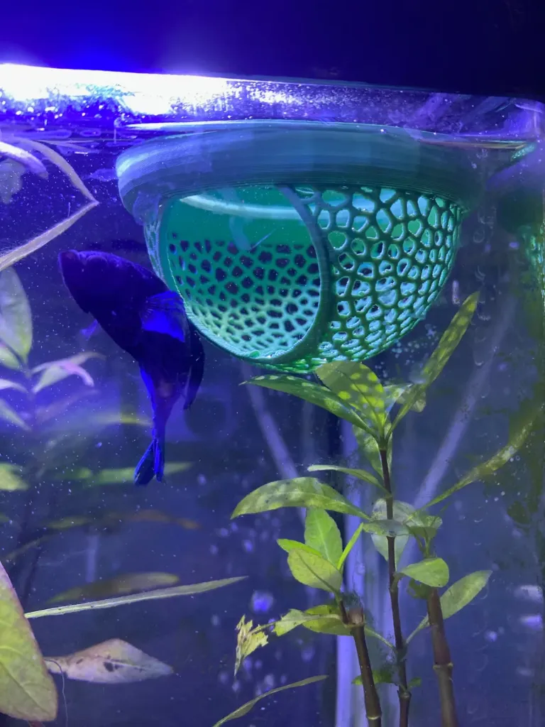 Betta Floating Hammock (Black)